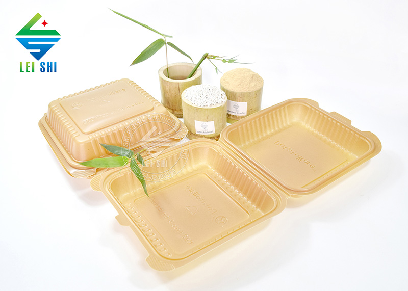 Eco Friendly Bento Box